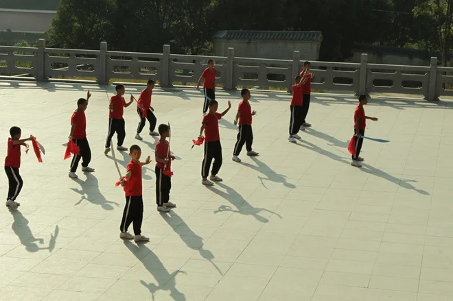 Kitajske borilne veščine, pogosto imenovane kung fu, kuoshu ali wushu, so skupek nekaj sto bojnih stilov, ki so jih skozi leta razvijali na Kitajskem. FOTO: Mateja Toplak