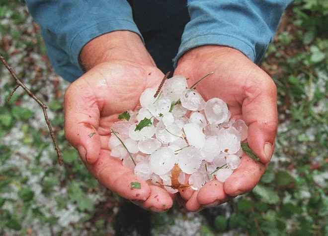 Toča je v Prekmurju najbolj prizadela sadovnjake in vinograde (fotografija je simbolična). FOTO: Igor Modic/Delo