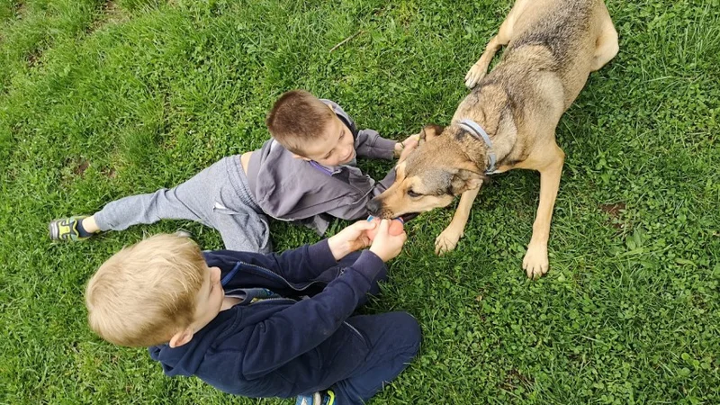 Fotografija: Nikakor ne želim povedati, da se lahko pristopi k vsakemu psu. Mislim pa, da je treba le prebrati telesno govorico – najprej psa in takoj zatem še lastnika. Foto Anja Germšek