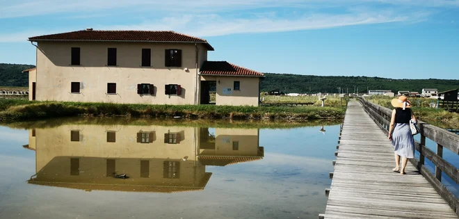 Starih solinarskih hišk je vse manj in vse bolj so porušene, solinarski muzej je zaprt, ker ministrstvo ni zagotovilo denarja za skrbnika, ki bi sprejemal goste. Ni niti pomola v kanalu Giassi, ob katerem bi pristajala plovila s turisti za muzej.