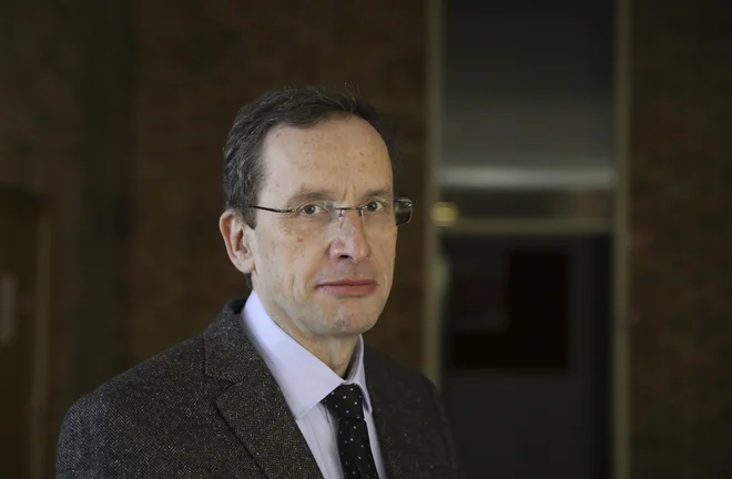 FOTO: Jože Suhadolnik/Delo