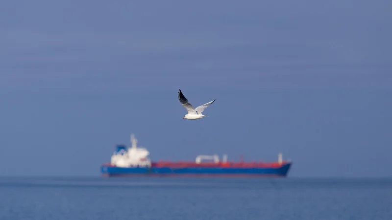 Fotografija: Na ladji grškega ladjarja sta doslej potrjeni dve okužbi s koronavirusom. Fotografija je simbolična. FOTO: Jože Suhadolnik/Delo