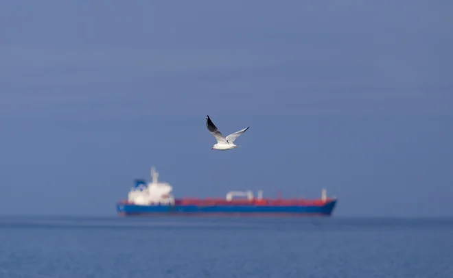Na ladji grškega ladjarja sta doslej potrjeni dve okužbi s koronavirusom. Fotografija je simbolična. FOTO: Jože Suhadolnik/Delo