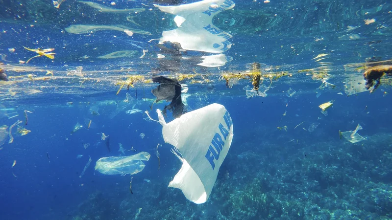 Fotografija: V Atlantskem oceanu je vsaj desetkrat več plastike, kot smo mislili doslej FOTO: Olenalavrova/Shutterstock