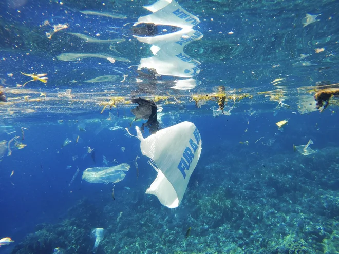 V Atlantskem oceanu je vsaj desetkrat več plastike, kot smo mislili doslej FOTO:&nbsp;Olenalavrova/Shutterstock