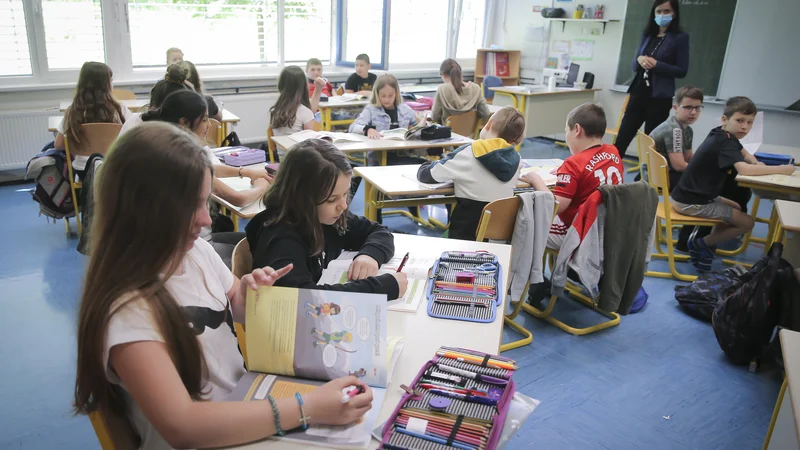 Fotografija: Odločitev za posamezen model izobraževanja bo, kot piše v priporočilih, sprejela vlada oziroma pristojna ministrica. FOTO: Jože Suhadolnik/Delo