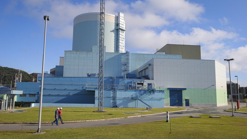 Fotografija: Drugi blok jedrske elektrarne Krško se pogosto omenja kot ena najvećjih naložb v prihodnjem desetletju. Foto Jože Suhadolnik