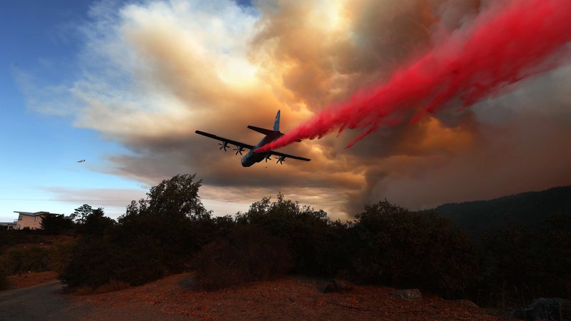 Fotografija: Požari, ki jih je največ na severu države, so doslej požgali več kot 1250 kvadratnih kilometrov zemljišč. FOTO: Justin Sullivan/Afp