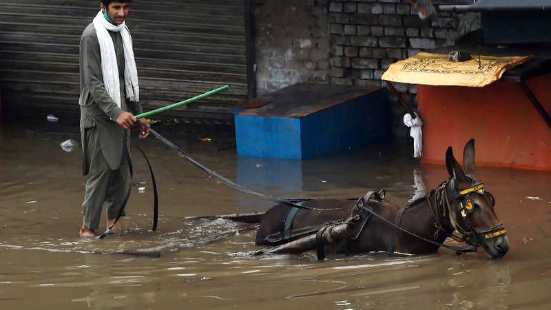 Fotografija: Tudi v Pakistanu se v tem letnem času soočajo z monsunskimi nalivi, zaradi katerih prihaja do poplav. Fotografija je nastala na poplavljenih ulicah Lahoreja. FOTO: Arif Ali/Afp
