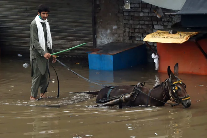 Tudi v Pakistanu se v tem letnem času soočajo z monsunskimi nalivi, zaradi katerih prihaja do poplav. Fotografija je nastala na poplavljenih ulicah Lahoreja. FOTO: Arif Ali/Afp