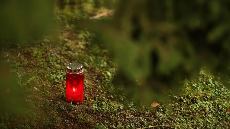 Fotografija: Fotografija je simbolična. FOTO: Jure Eržen/Delo