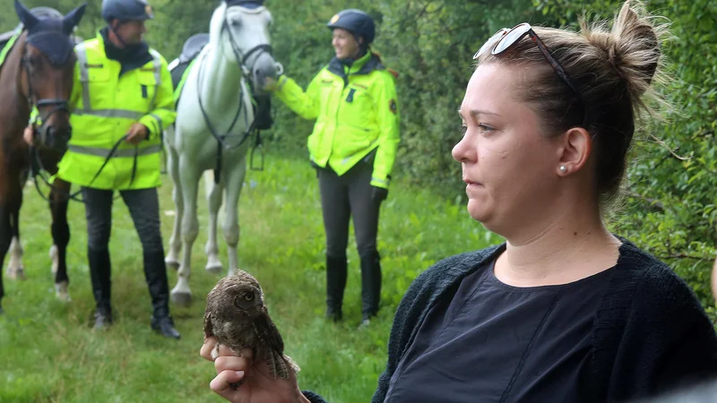 Fotografija: Našli so jo policisti na dvorišču Policijske postaje Cerknica. FOTO: Ljubo Vukelič