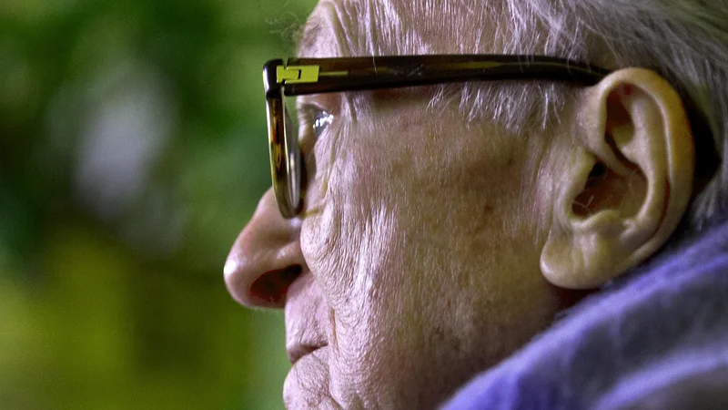 Fotografija: Med drugo svetovno vojno so ga poslali v nemška koncentracijska taborišča, o čemer pripoveduje v romanu Nekropola. FOTO: Jože Suhadolnik/Delo