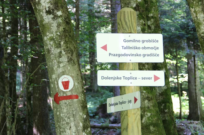 Pot je odlično označena. Foto Simona Fajfar