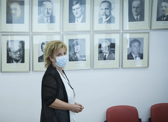 FOTO: Jože Suhadolnik/Delo