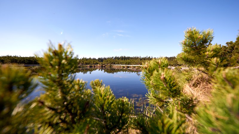 Fotografija: Lovrenška jezera na Rogli FOTO: Unitur