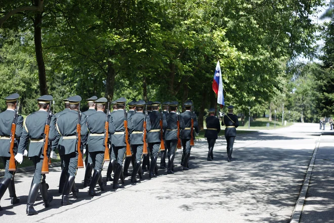 Referendum je instrument, ki omogoča brzdanje parlamentarne večine. FOTO: Leon Vidic/Delo