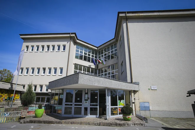 Šola na Bičevju je pridružena Koleziji. FOTO: Jože Suhadolnik/Delo