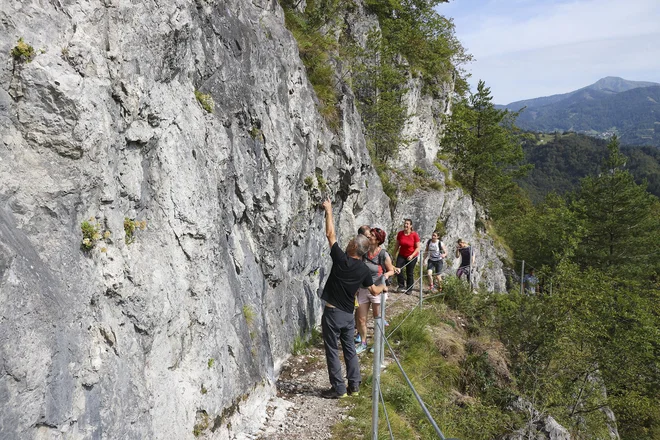 Pot je označena in na prepadnih mestih dobro zavarovana. FOTO: Gregor Kacin/Visit Cerkno