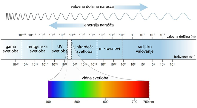 Slika 1: Vidna svetloba je med ultravijolično svetlobo višjih energij in infrardečo svetlobo nižjih energij. Te tri vrste svetlobe oddajajo zvezde. Najvišjo energijo v celotnem spektru ima gama svetloba, ki jo opazuje satelit Fermi. Vir Sapling Learning