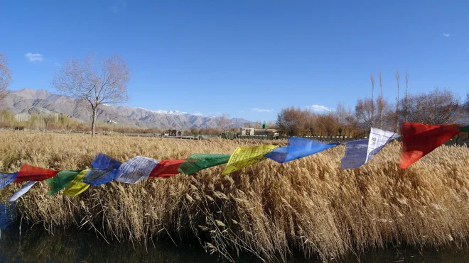 Na koncu najinega potovanja je v Ladakh zares že prispela jesen. FOTO: Gregor Ambrožič