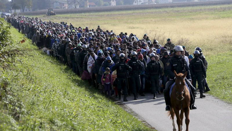 Fotografija: Begunci in migranti v bližini Dobove jeseni 2015. FOTO: Srdjan živulović/Reuters