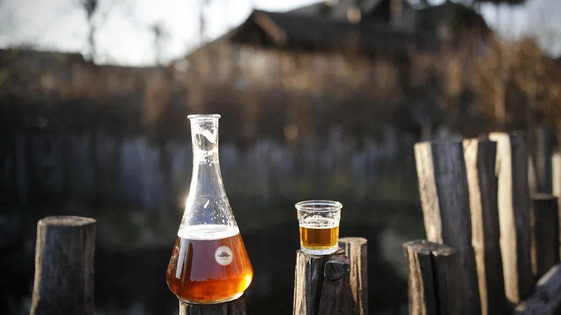 Fotografija: Natanko vemo, kako so pred skrbmi bežali vladarji in vladajoči. Sredi prve svetovne vojne je Franc Jožef I. pil alkohol.FOTO: Uroš Hočevar/Delo