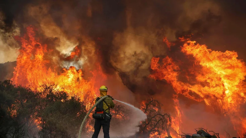 Fotografija: Gašenje požara v bližini Jamula v Kaliforniji, imenovanega Valley fire. FOTO: Sandy Huffaker/AFP