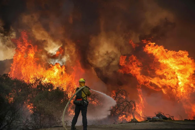 Gašenje požara v bližini Jamula v Kaliforniji, imenovanega Valley fire. FOTO: Sandy Huffaker/AFP