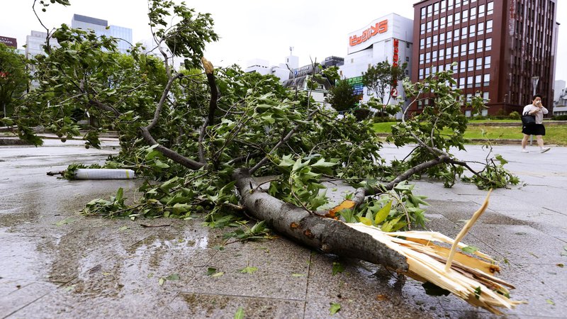 Fotografija: Na Japonskem je tajfun lomil drevesa in sprožal zemeljske plazove, tako kot na posnetku iz mesta Fukuoka. FOTO: Kyodo Kyodo/Reuters
