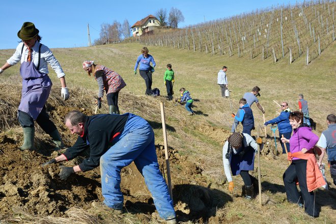 Največji projekt kmetije Sončni raj je bila zasaditev 9500 dreves, grmovnic in drugih rastlin. Med 750 sadilci je bil le vsak peti Mariborčan, ostali pa iz vse Slovenije. Fotografija osebni arhiv
