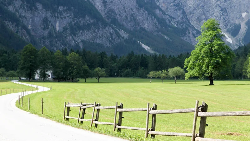 Fotografija: V postopku za sprejem je tudi KP Logarska dolina. TNP, Kozjanski park, Park Škocjanske jame že imajo znak Slovenia Green Park. FOTO Marko Feist