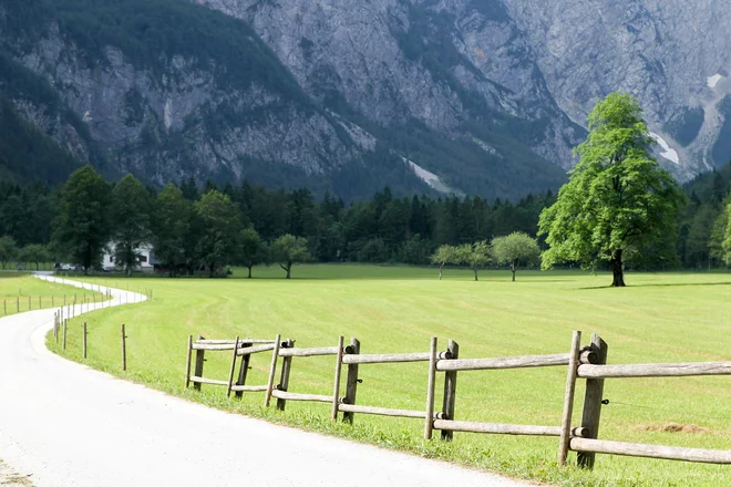 V postopku za sprejem je tudi KP Logarska dolina. TNP, Kozjanski park, Park Škocjanske jame že imajo znak Slovenia Green Park. FOTO Marko Feist