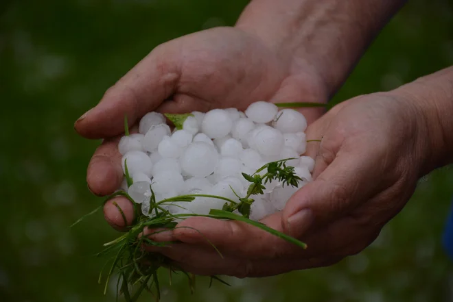Toča je med drugim pobelila Pohorje. FOTO: Oste Bakal