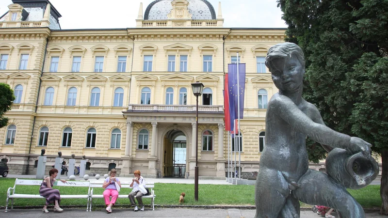 Fotografija: Rektorja mariborske univerze bodo prvič volili po novem sistemu, po katerem imajo volilno pravico poleg pedagoških tudi nepedagoški delavci ter študenti, a njihovi glasovi so ovrednoteni različno. FOTO: Tadej Regent