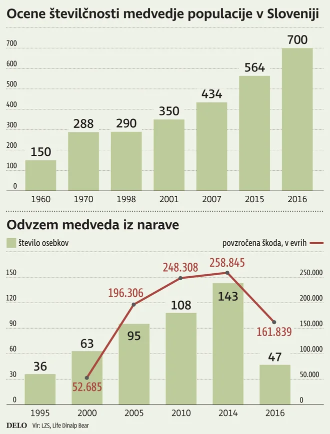 Medved v Sloveniji.