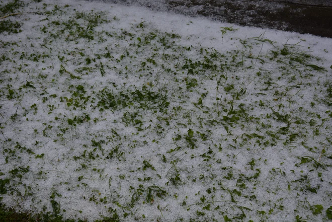 Tudi danes je možno kakšna nevihta s točo. FOTO: Oste Bakal