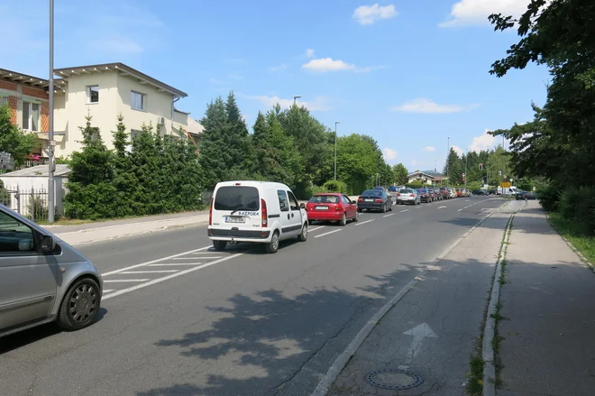 Kolona na Dunajski cesti se večkrat razvleče vse do črnuške cerkve. FOTO: Janez Petkovšek