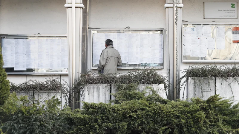 Fotografija: Med iskanjem zaposlitve upravičenci dobivajo denarno nadomestilo. Foto Uroš Hočevar