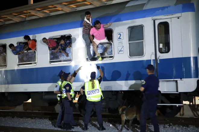 Po oceni policije je v BiH od 1700 do 1800 migrantov. FOTO: Uroš Hočevar/Delo