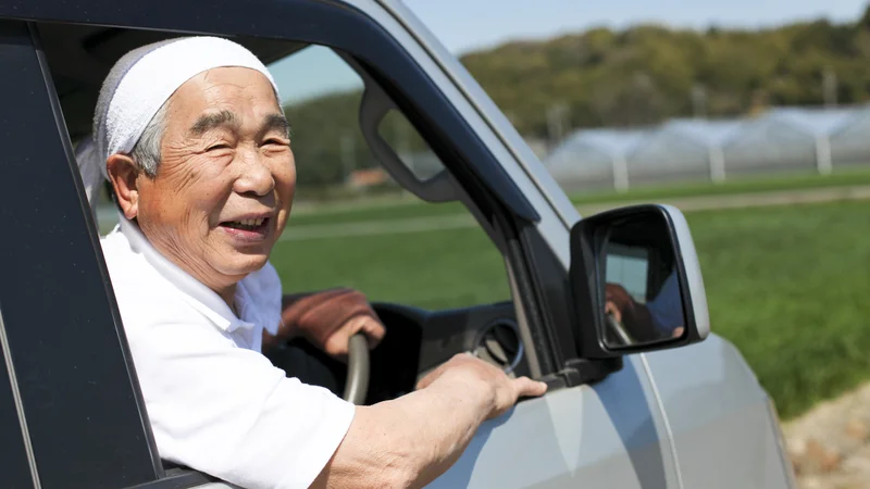 Fotografija: Japonski voznik FOTO: Shutterstock