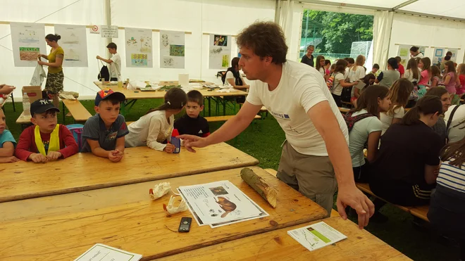 Bober ima velike oranžne zobe. Foto Borut Tavčar