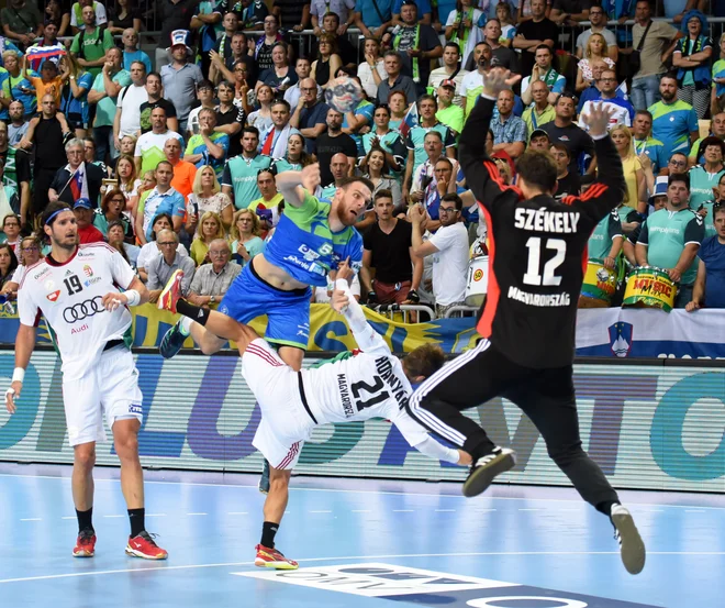 Borut Mačkovšek bo kariero nadaljeval v Veszpremu. Foto: Slavko Kolar