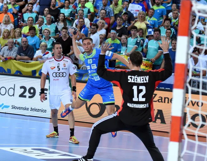 Darko Cingesar je bil na prvi tekmi v Kopru med boljšimi v domači reprezentanci in je dosegel tri gole. Foto: Slavko Kolar