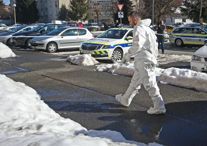 Policija je kot motiv za dejanje navedla maščevanje. FOTO: Tadej Regent/Delo