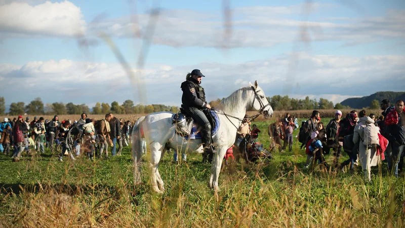 Fotografija: FOTO: Jure Eržen/Delo