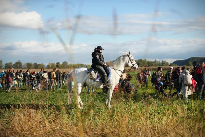 FOTO: Jure Eržen/Delo
