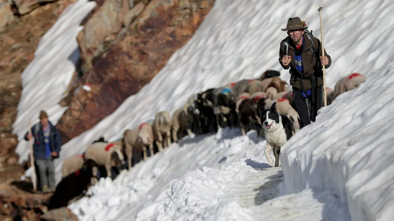 Fotografija: Foto Lisi Niesner Reuters