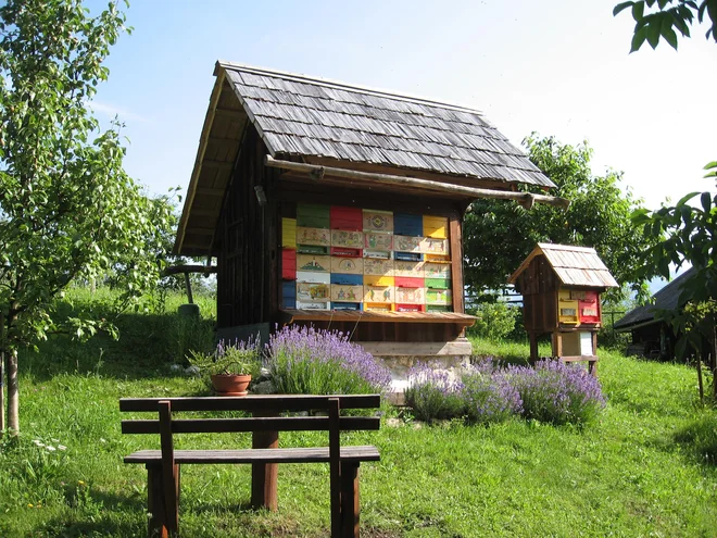 FOTO: Franc Šivic.