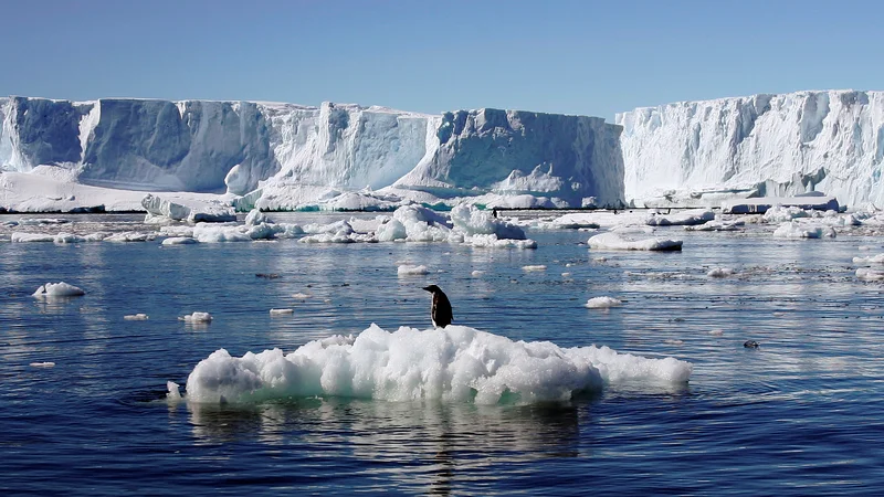 Fotografija: Po sedanjih trendih bi Antarktika ob Grenlandiji lahko postala nov največji vir vode, ki bi dvigoval gladino oceanov. FOTO: Reuters